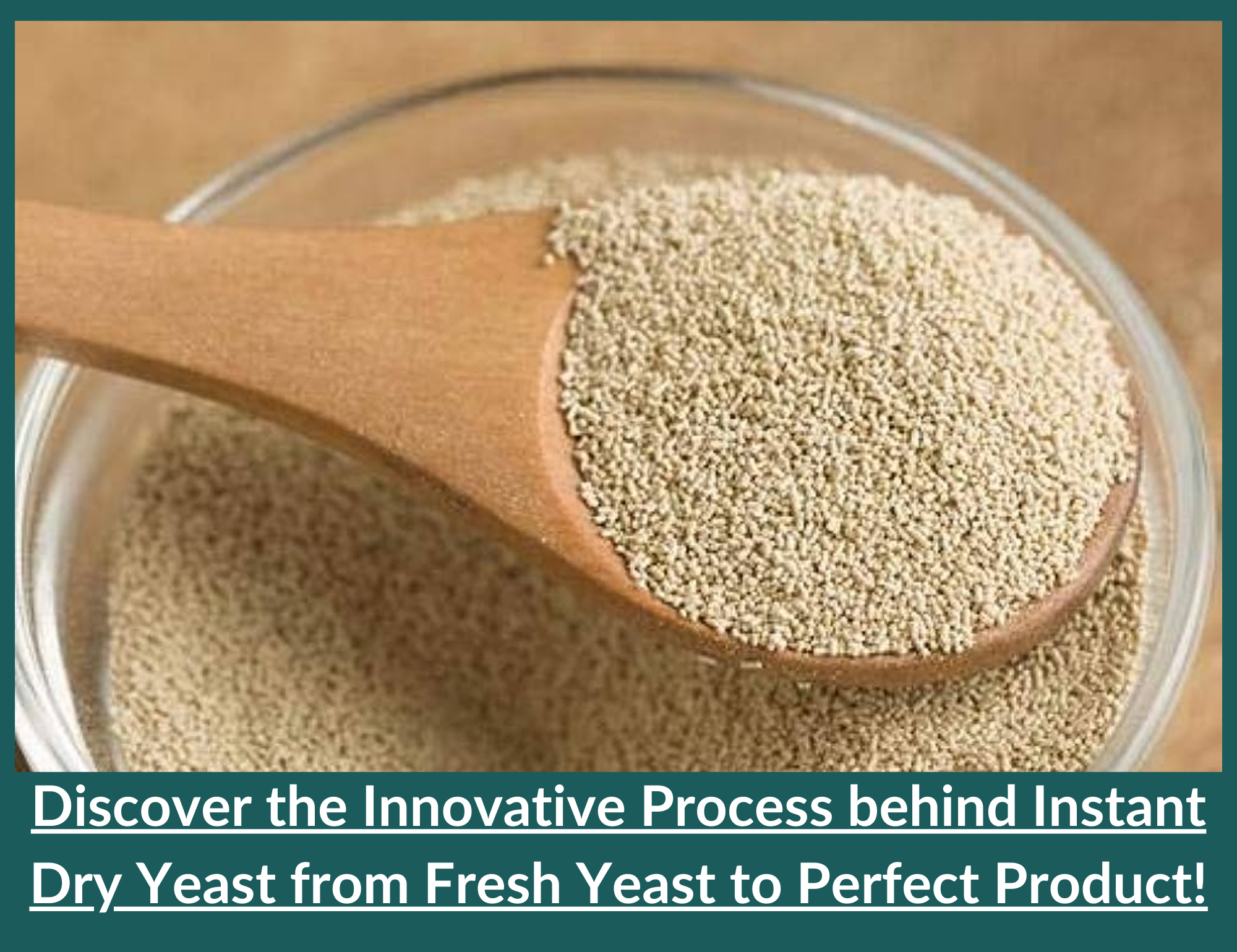 Instant Dry Yeast production