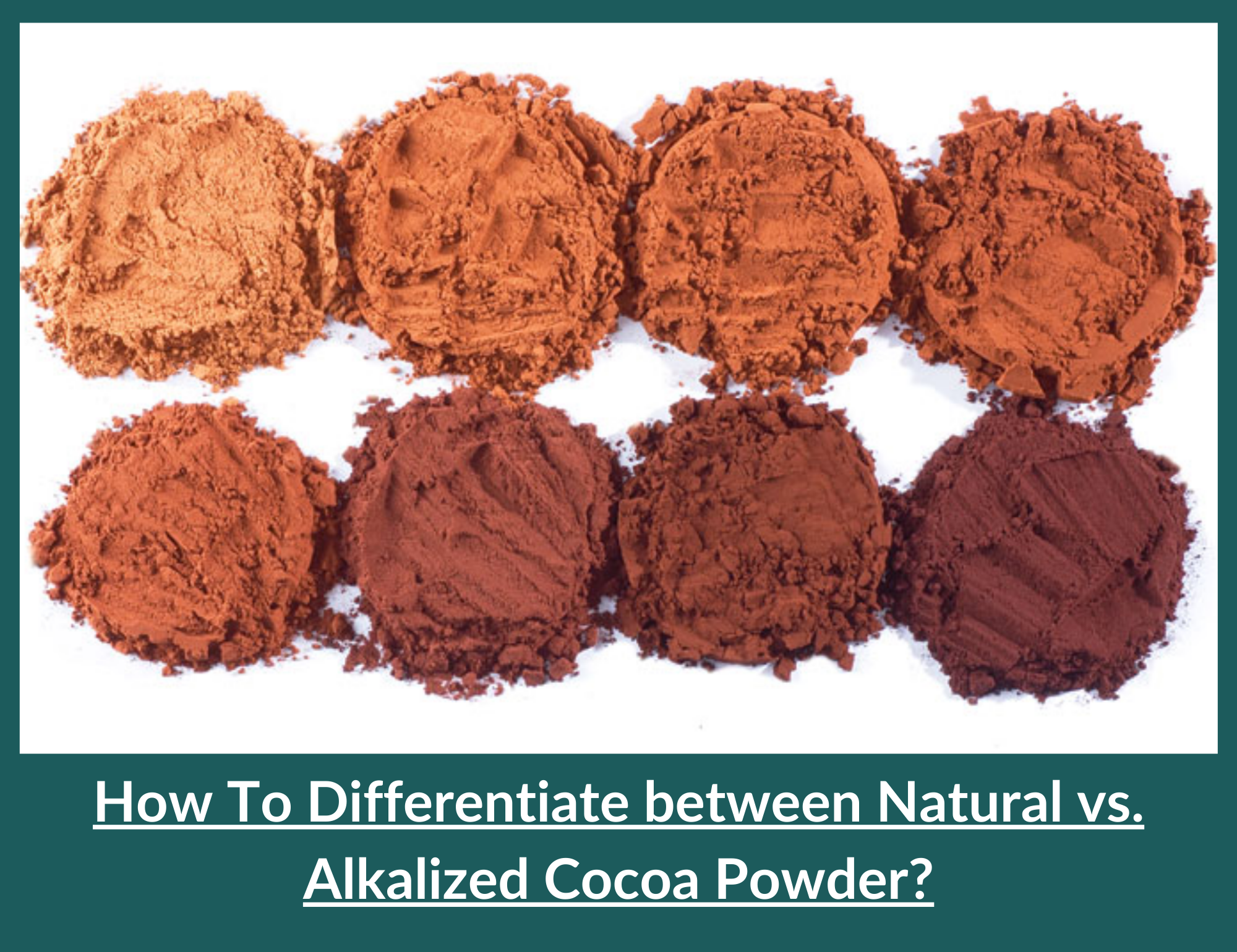Difference in Natural & Alkalized cocoa powder