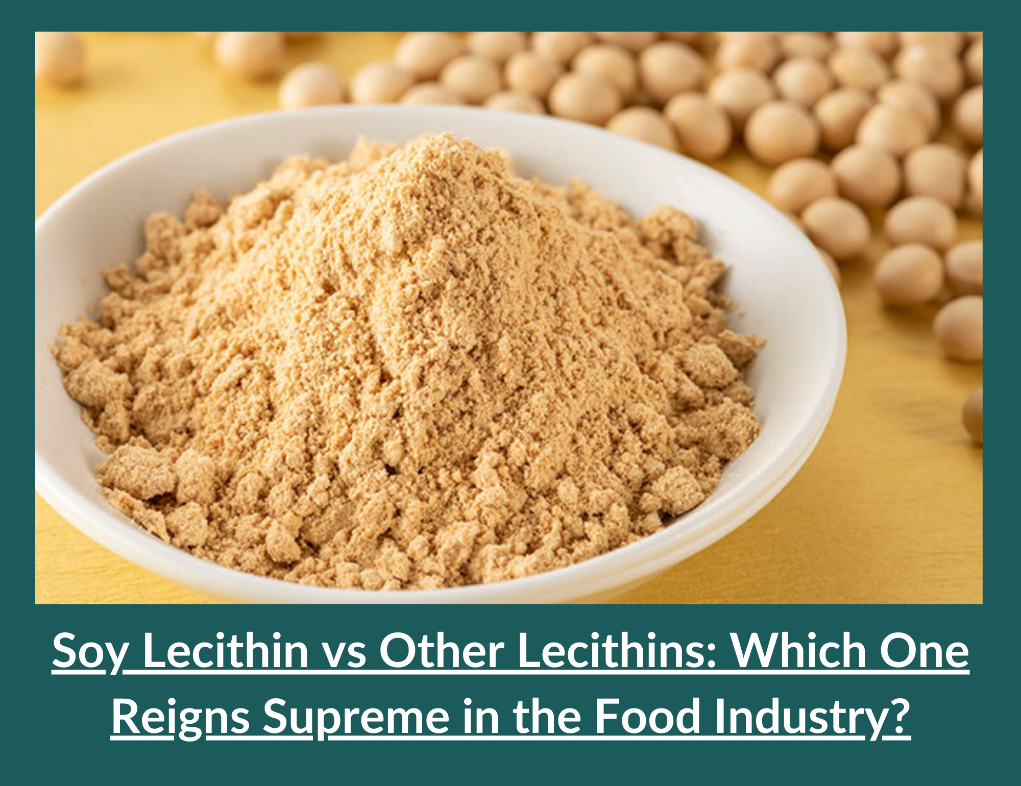 Soy Lecithin vs Other Lecithins