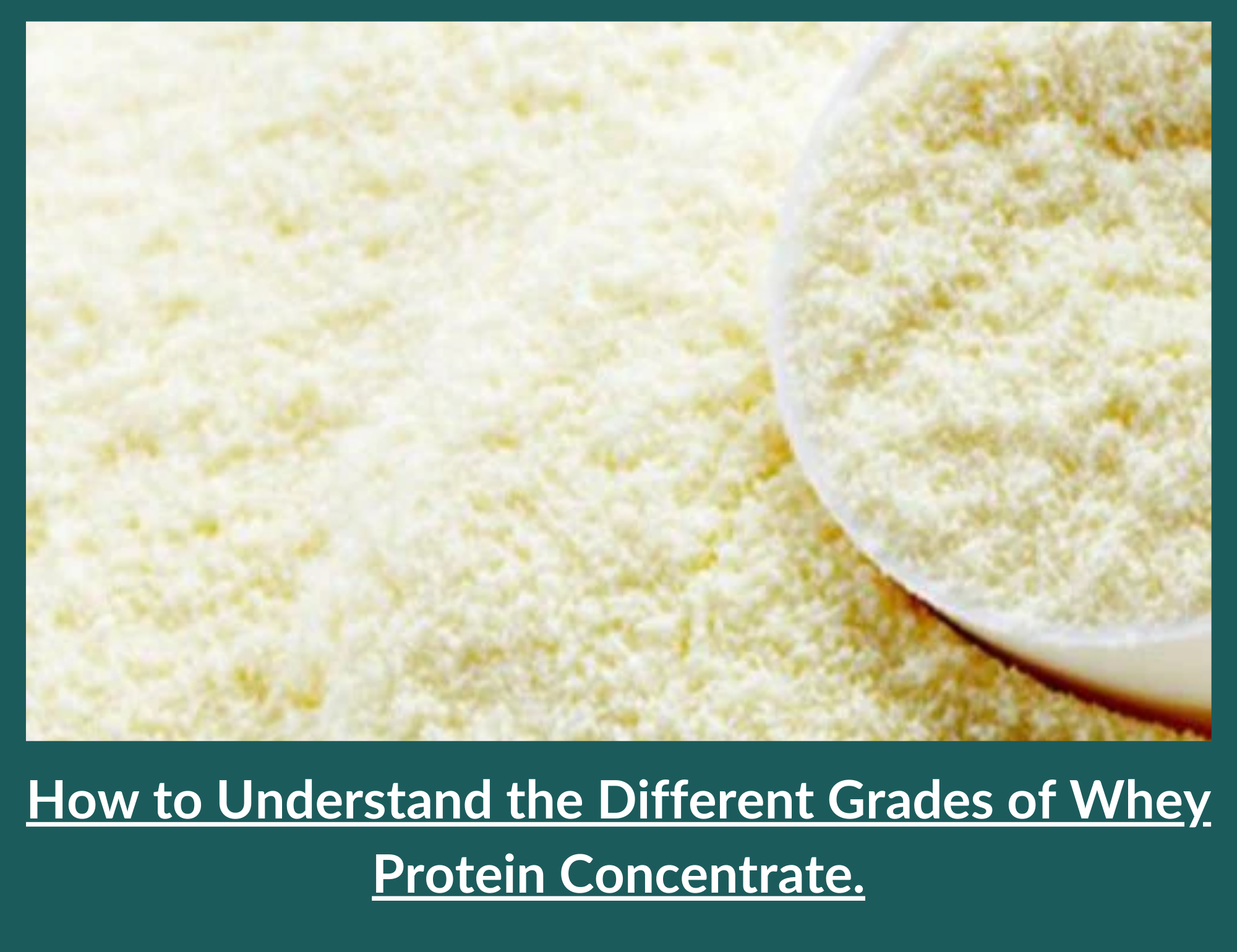 Grades of Whey Protein Concentrate