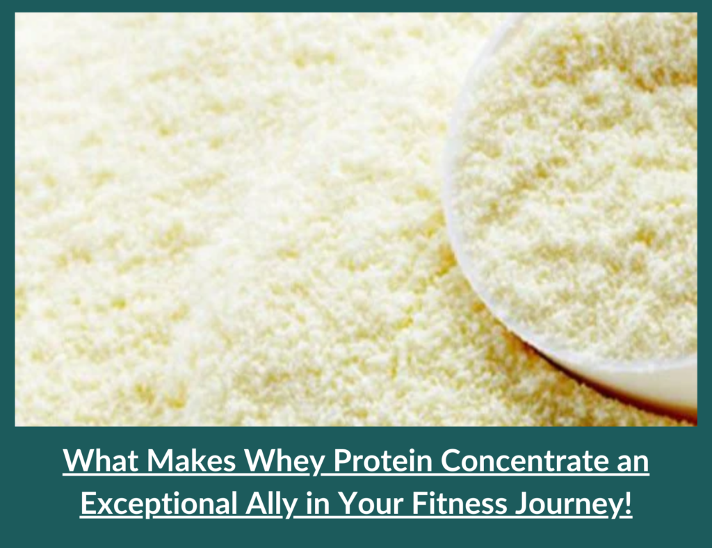 Whey Protein Concentrate