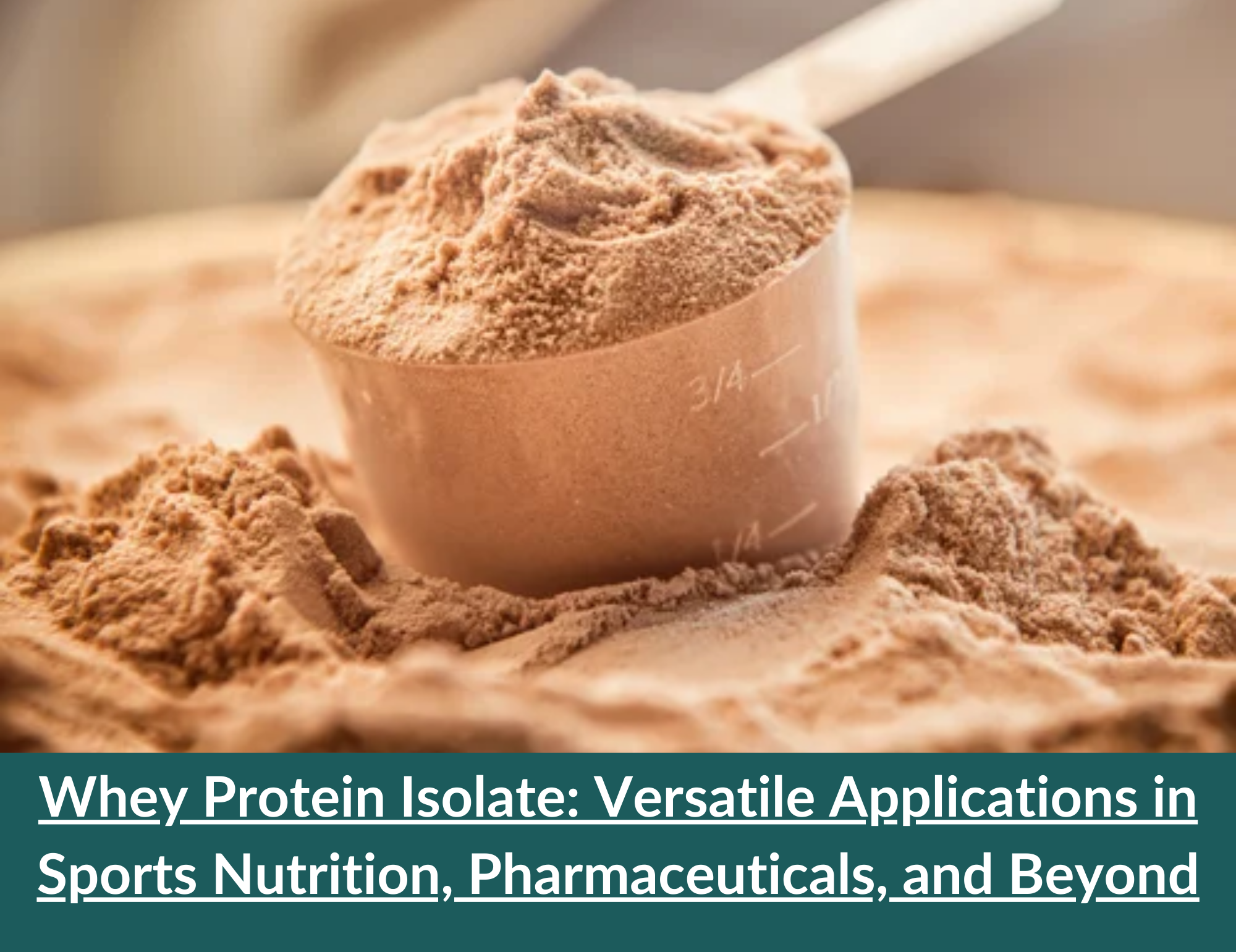Whey Protein Isolate: Versatile Applications in Sports Nutrition, Pharmaceuticals, and Beyond