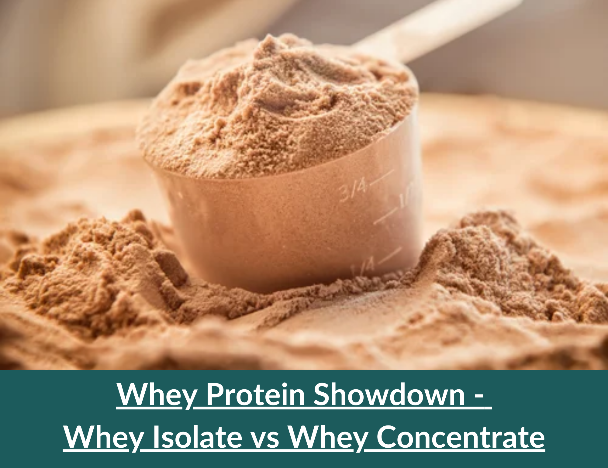 Whey Protein Isolate vs Whey Protein Concentrate