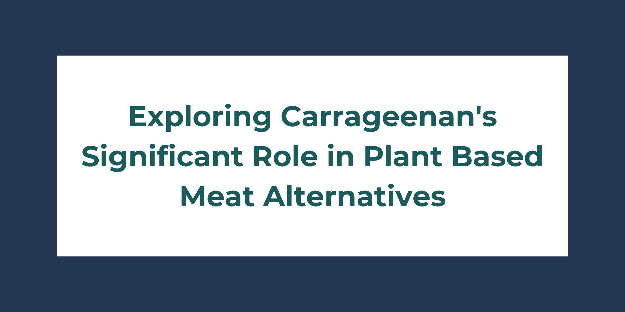 Exploring Carrageenan's Significant Role in Plant Based Meat Alternatives