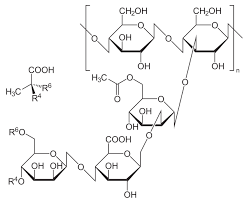 Xanthan Gum Molecular structure